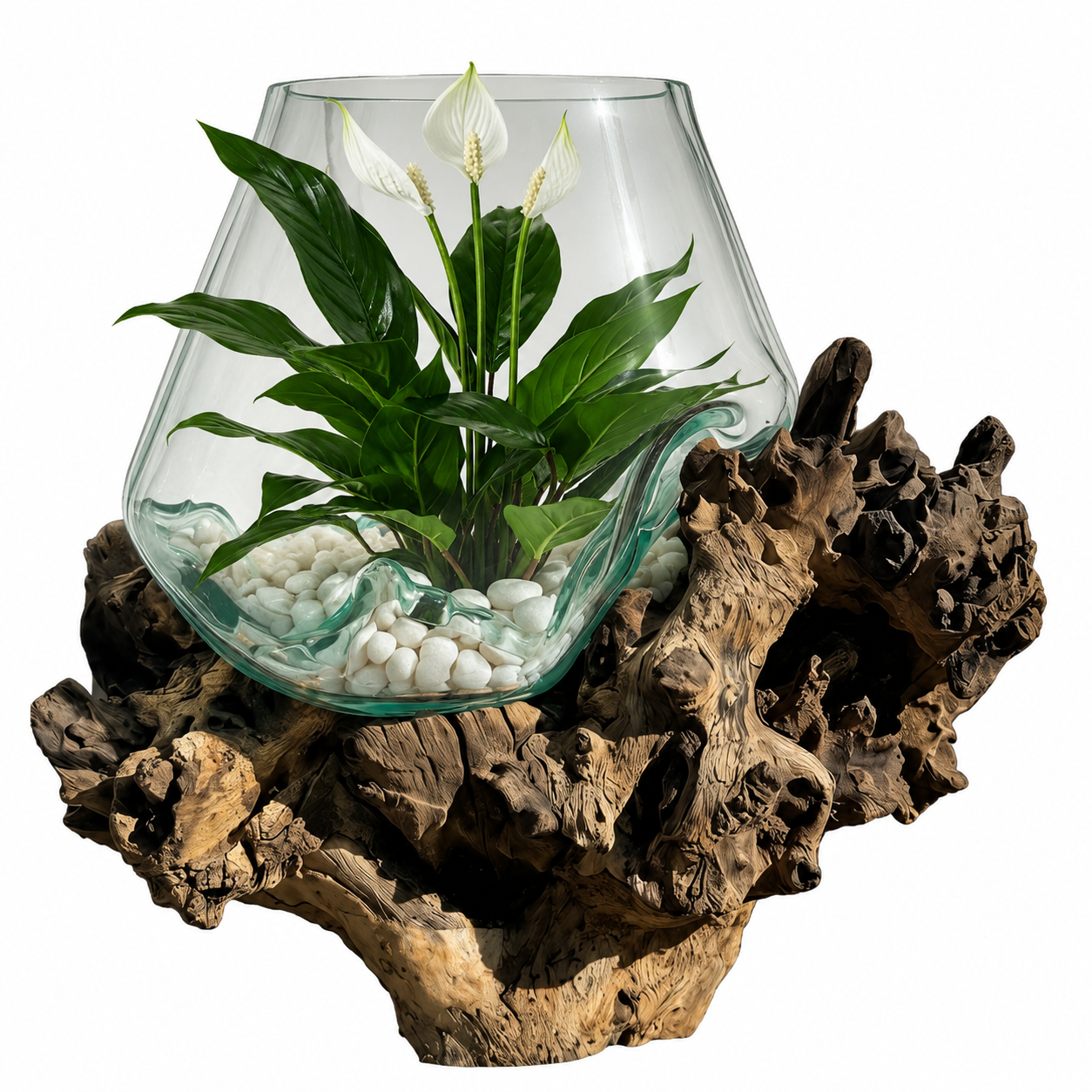 A terrarium bowl with a wavy edge, filled with white pebbles and green foliage with white flowers, displayed on a large natural wood base against a white background.