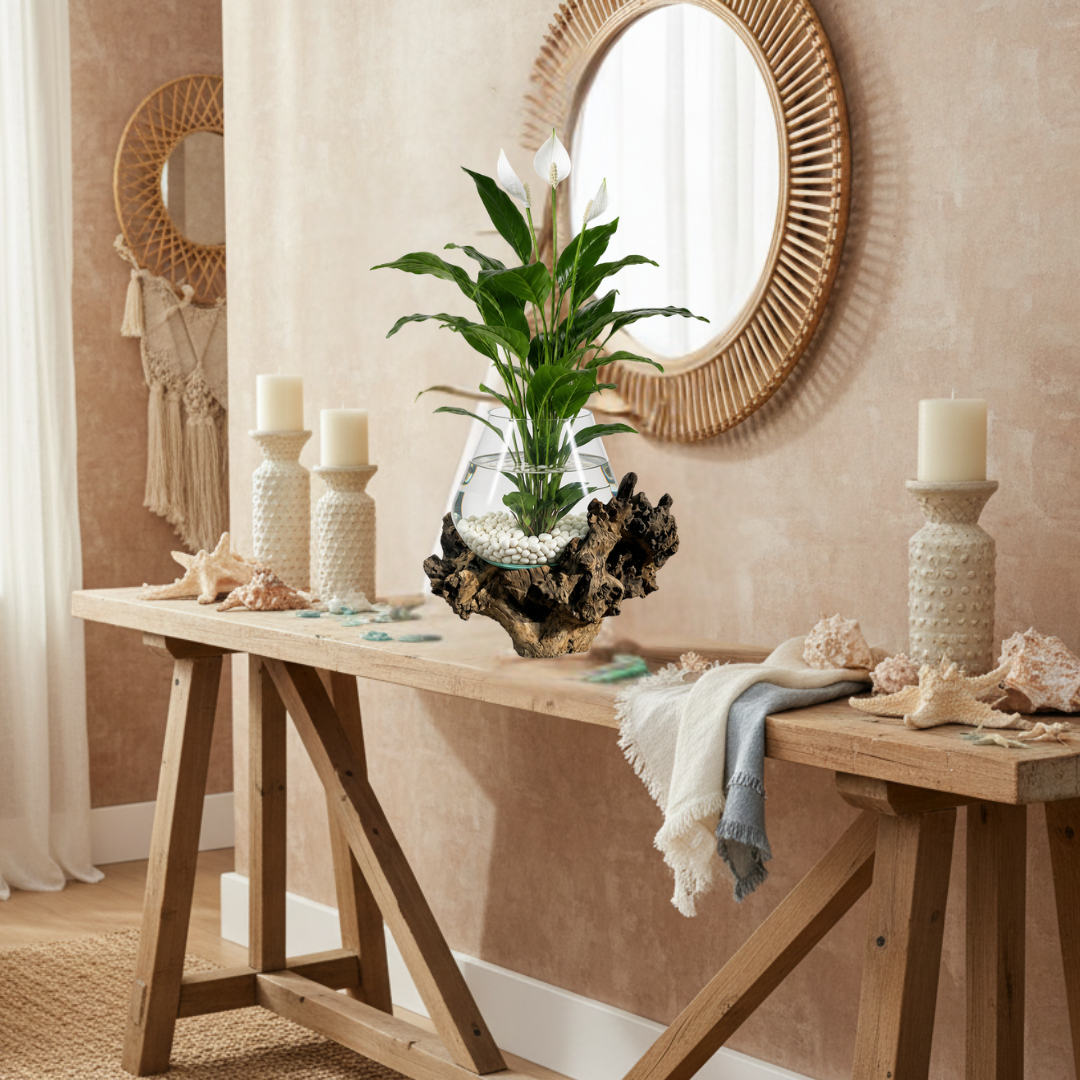 A rustic wooden console table styled in a bohemian home decor setting, featuring a central glass terrarium with a green plant on a driftwood base, white textured candle holders, seashells, and a draped throw blanket, set against a warm beige wall with a round sunburst mirror.
