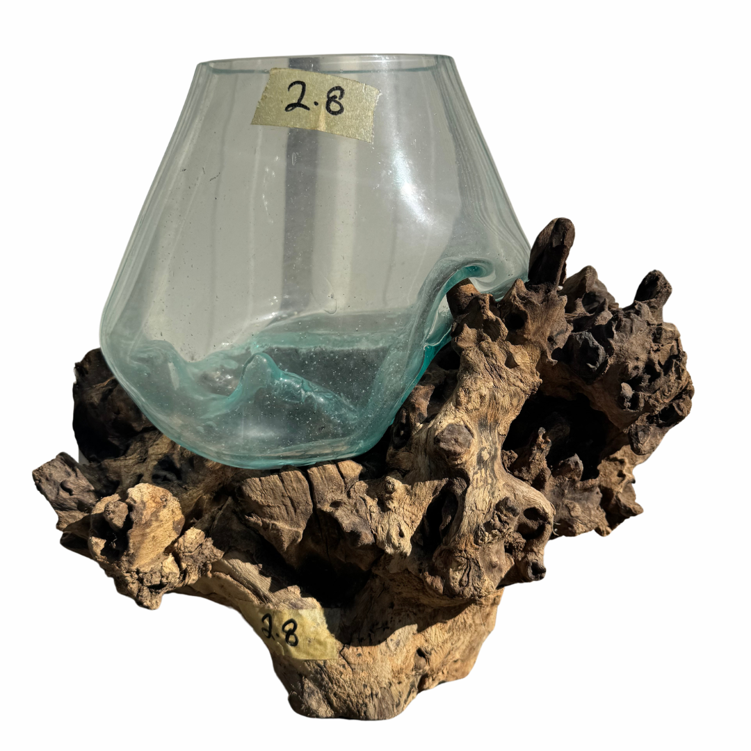 Conical wide-mouth glass bowl nestled into a large gnarly driftwood base, clear aqua tint, white background, Style 2.8 side view