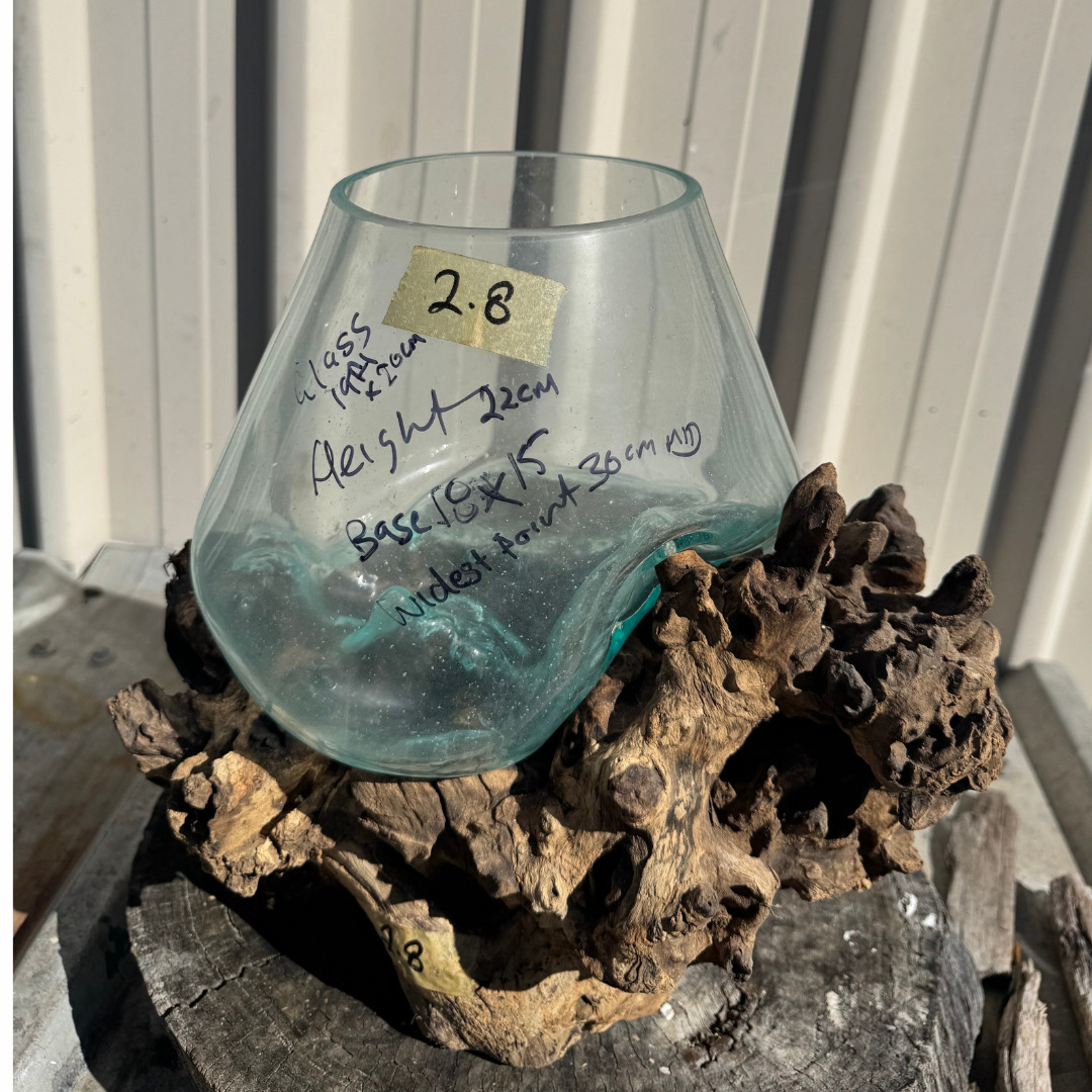 A clear glass vase with a wide, flared top and curved sides, displayed on a piece of dark driftwood. The vase has handwritten measurements and a price sticker on it.