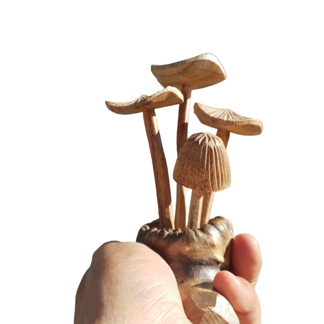Mushroom Artwork Wooden Carvings