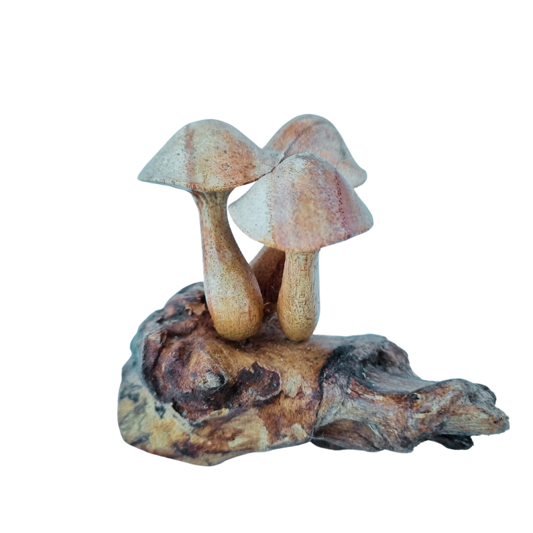 Mushroom Artwork Wooden Carvings