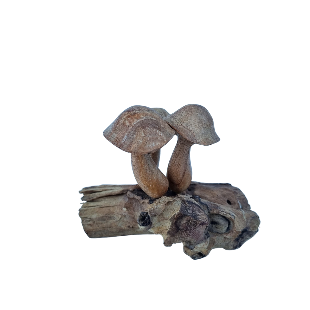 Mushroom Artwork Wooden Carvings