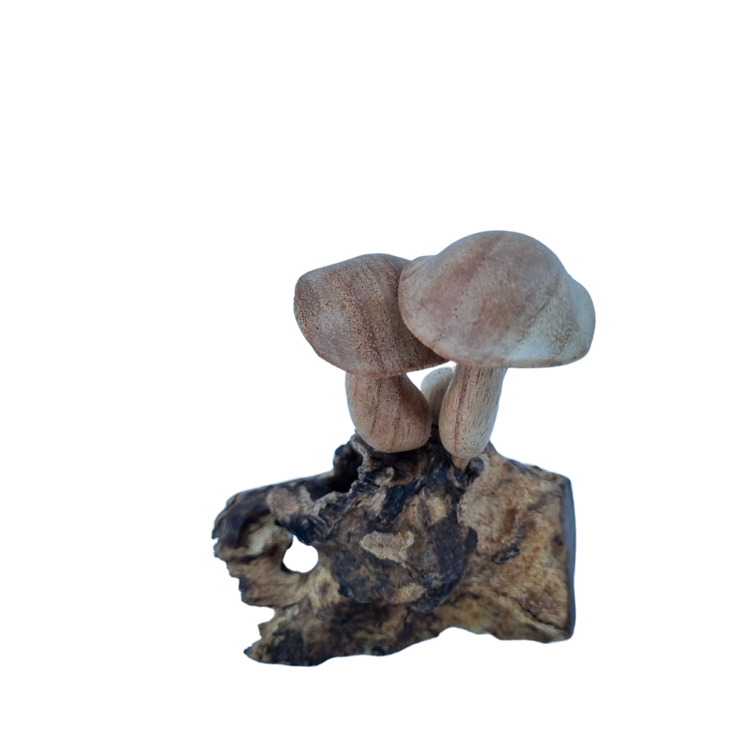 Mushroom Artwork Wooden Carvings