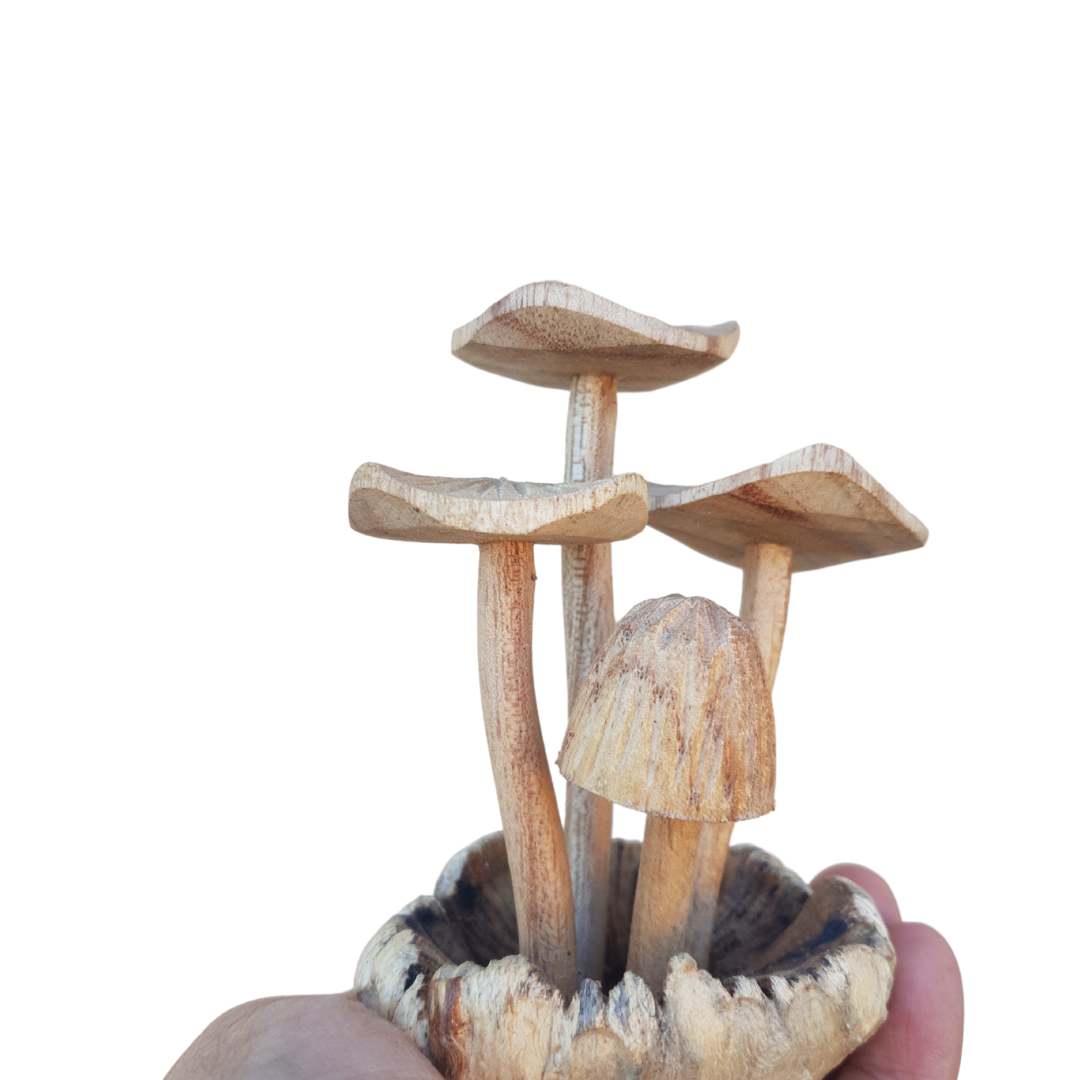 Mushroom Artwork Wooden Carvings
