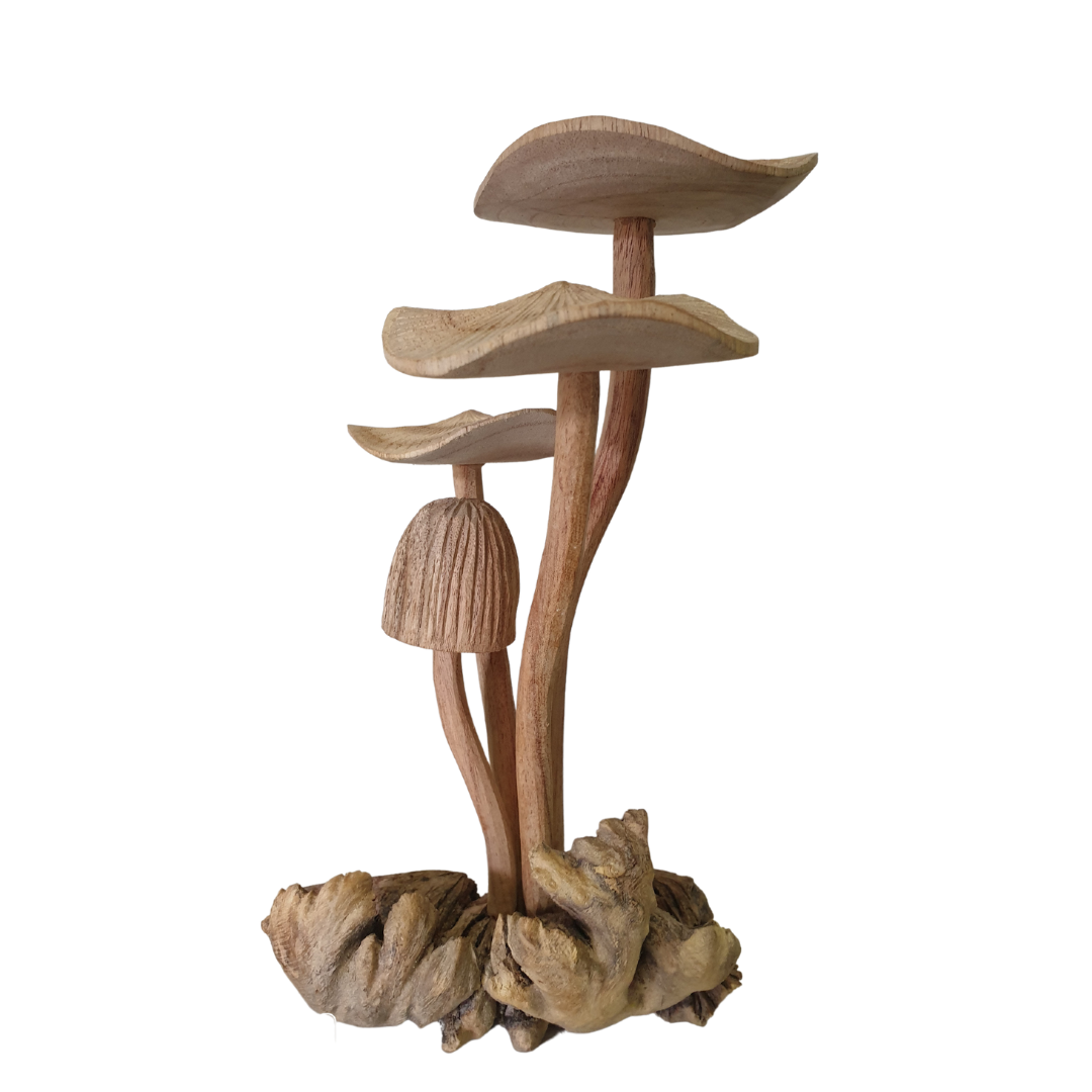 unique mushroom artwork on a white background