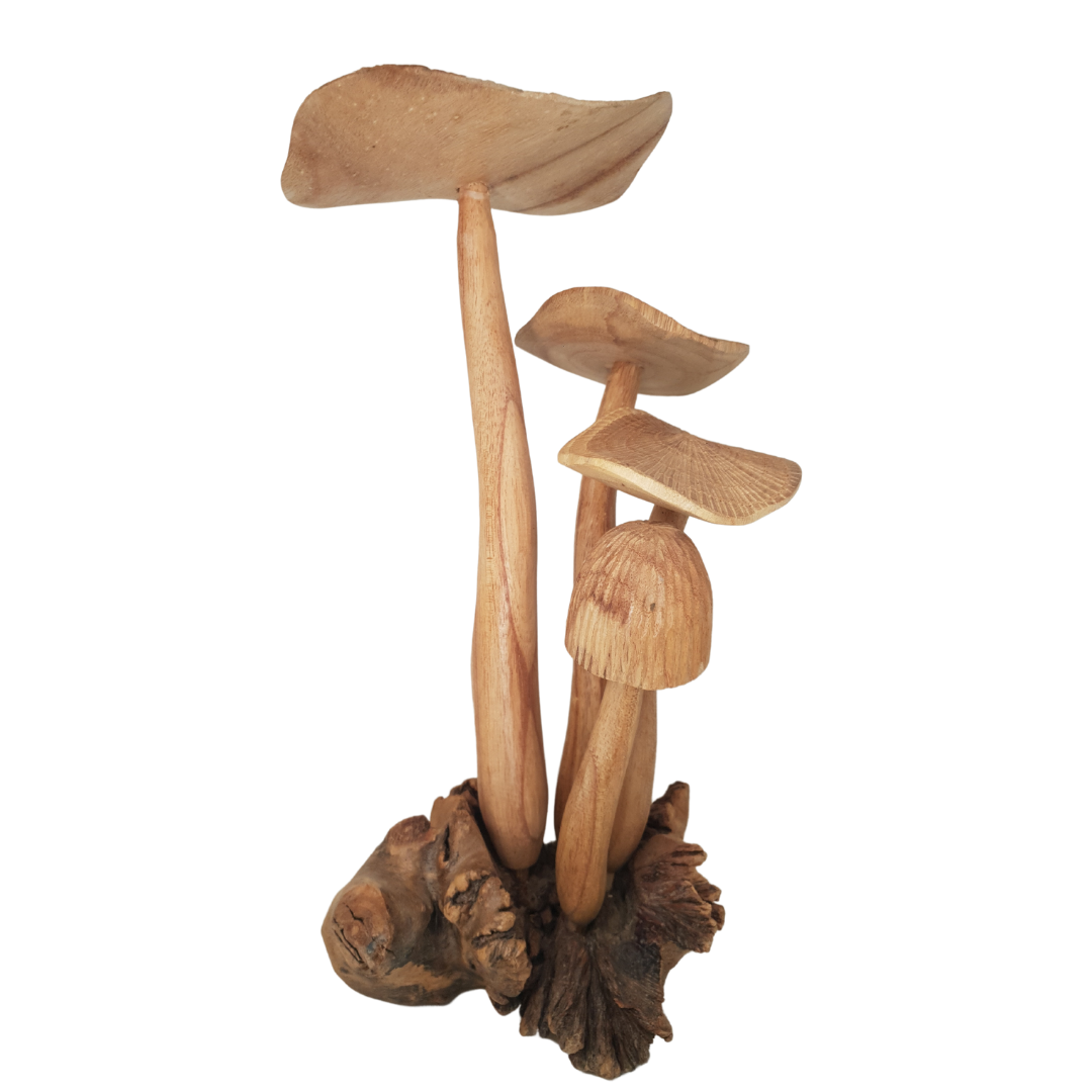 unique wooden mushrooms crafted from Chinberry tree root. 