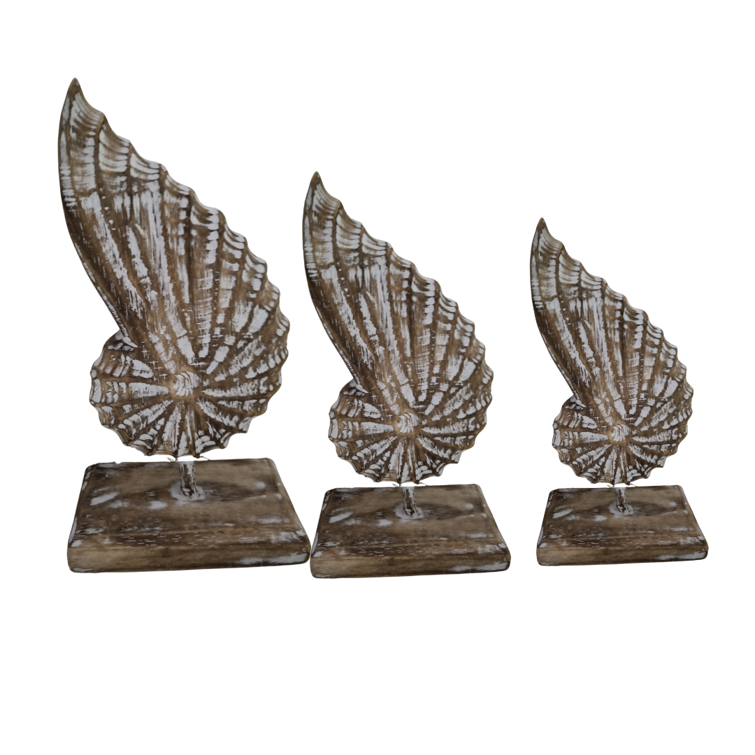 A handcrafted wooden conch shell set of 3 pieces decoration on a stand, with a natural brown wash finish on white wall back drop 