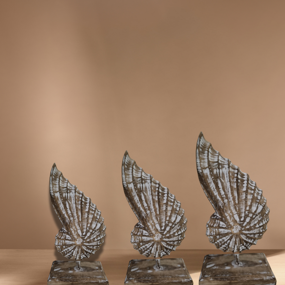A handcrafted wooden conch shell set of 3 pieces decoration on a stand, with a natural brown wash finish on beige back drop 
