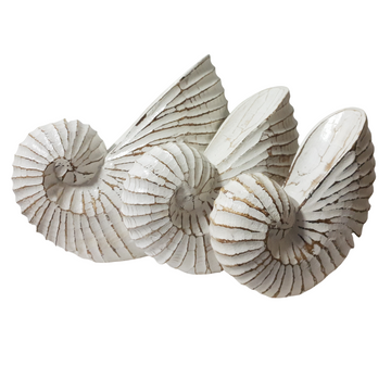 A set of three carved wooden nautilus shells in varying sizes, with a beige and white color wash, designed as coastal-themed home decor.