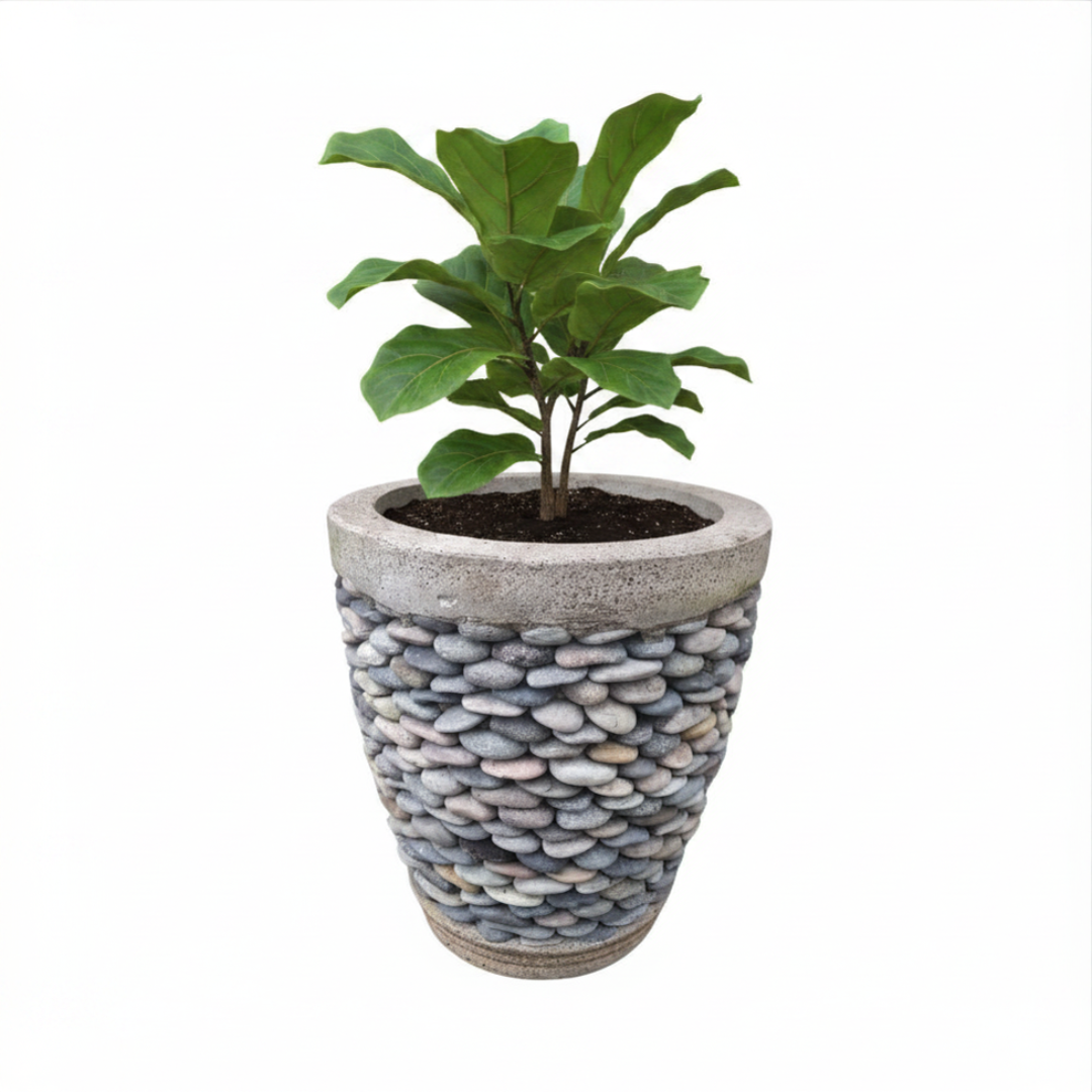 Pebble Concrete Pot Indoor Outdoor styled with a fiddle leaf fig on a white background showing the natural stacked pebble surface 