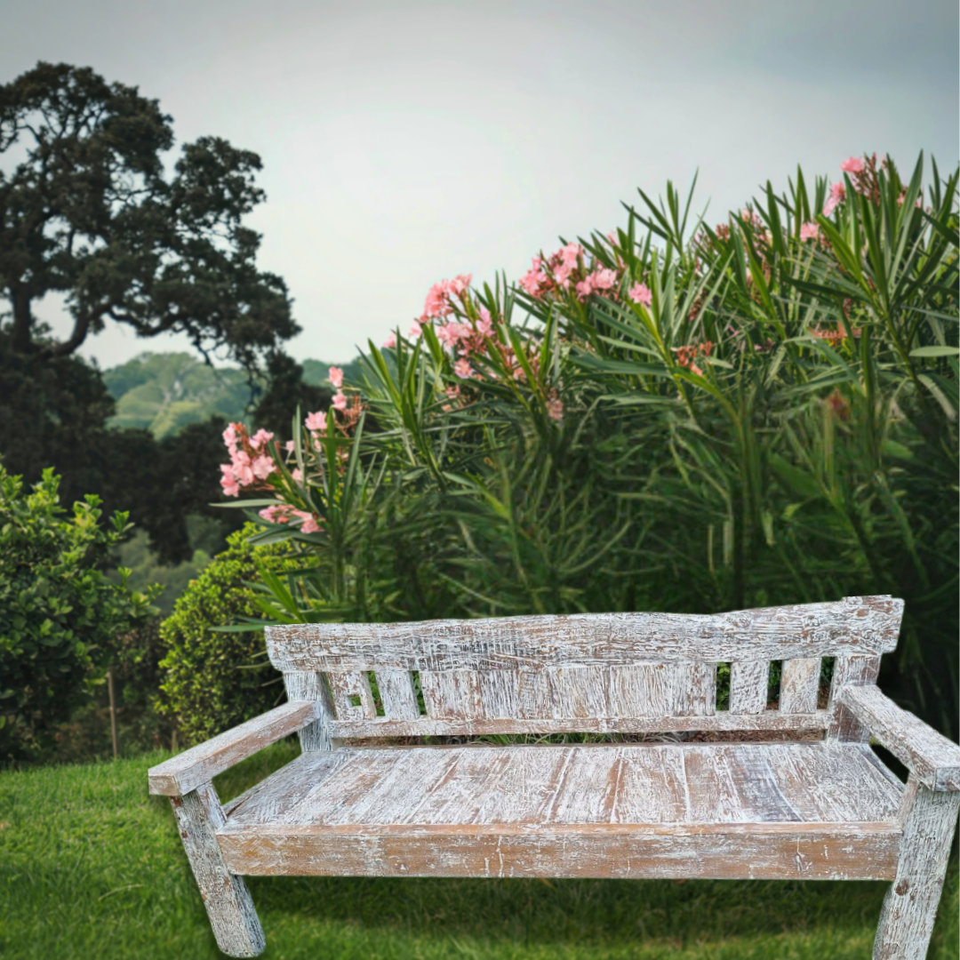 Wooden bench in a garden with greenery and pink flowers