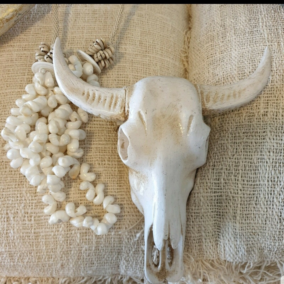 Decor white curved horns laid flat on natural burlap fabric, styled with a coiled strand of white cowrie shell beads