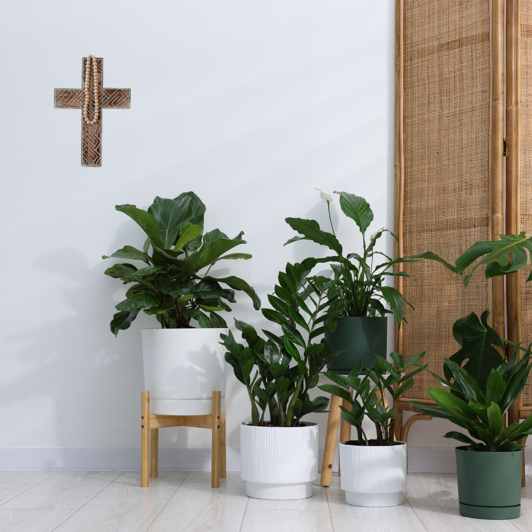 Potted plants in a room with a cross on the wall