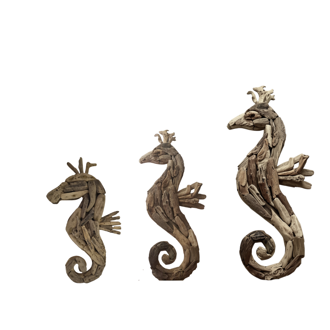 Three rustic driftwood seahorse wall hangings displayed side by side showing size comparison — small 50cm, medium 70cm, and large 100cm 