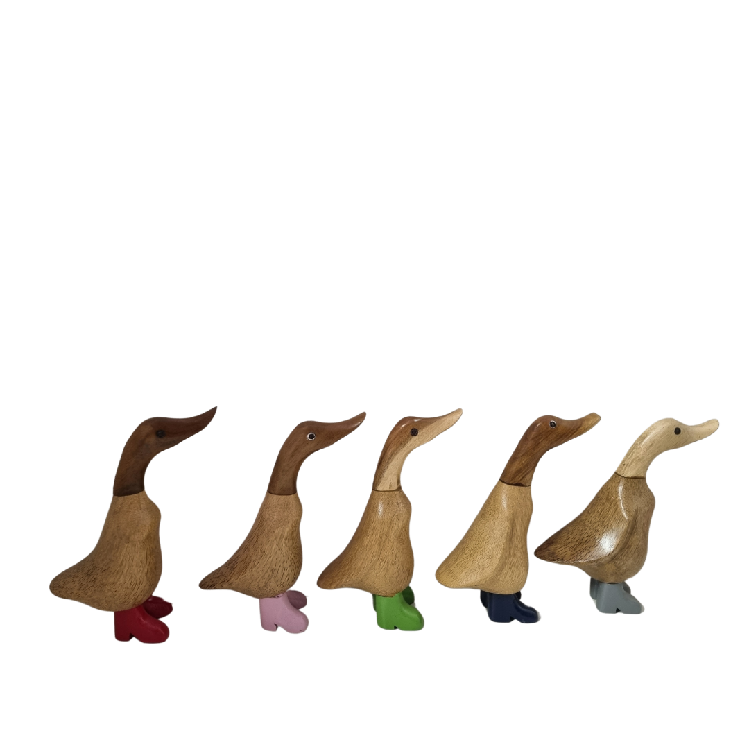 Charming Pastel Booted Bamboo Ducks SET