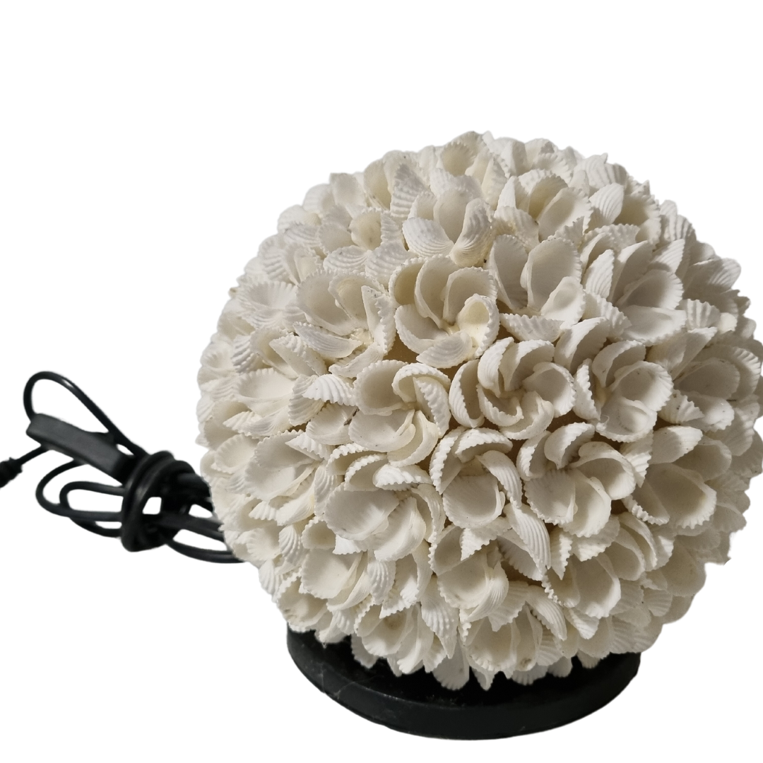 Side angle showing the layered shell texture, black base and power cord.