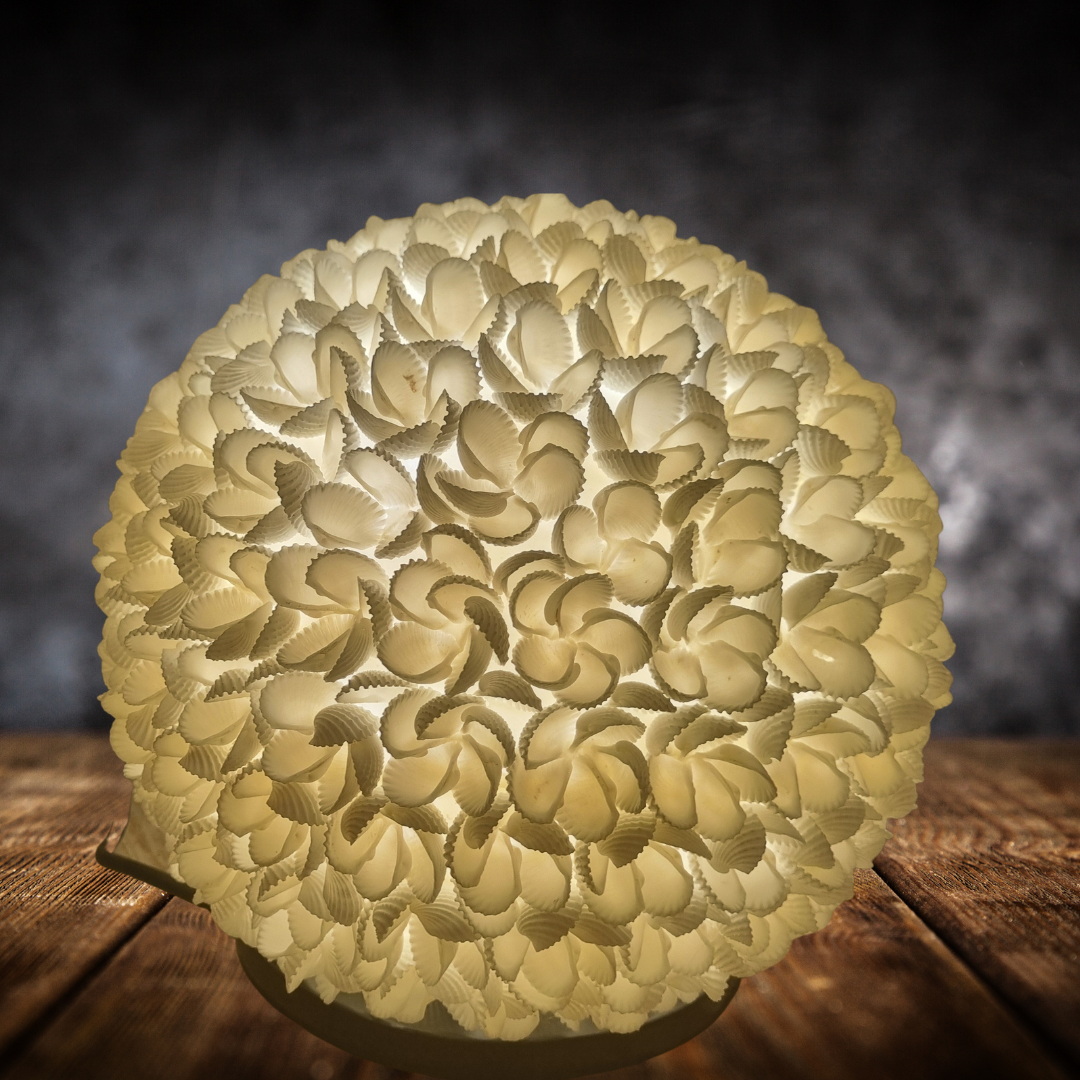 A warm golden glow shining through layered shell pieces on a rustic timber table.