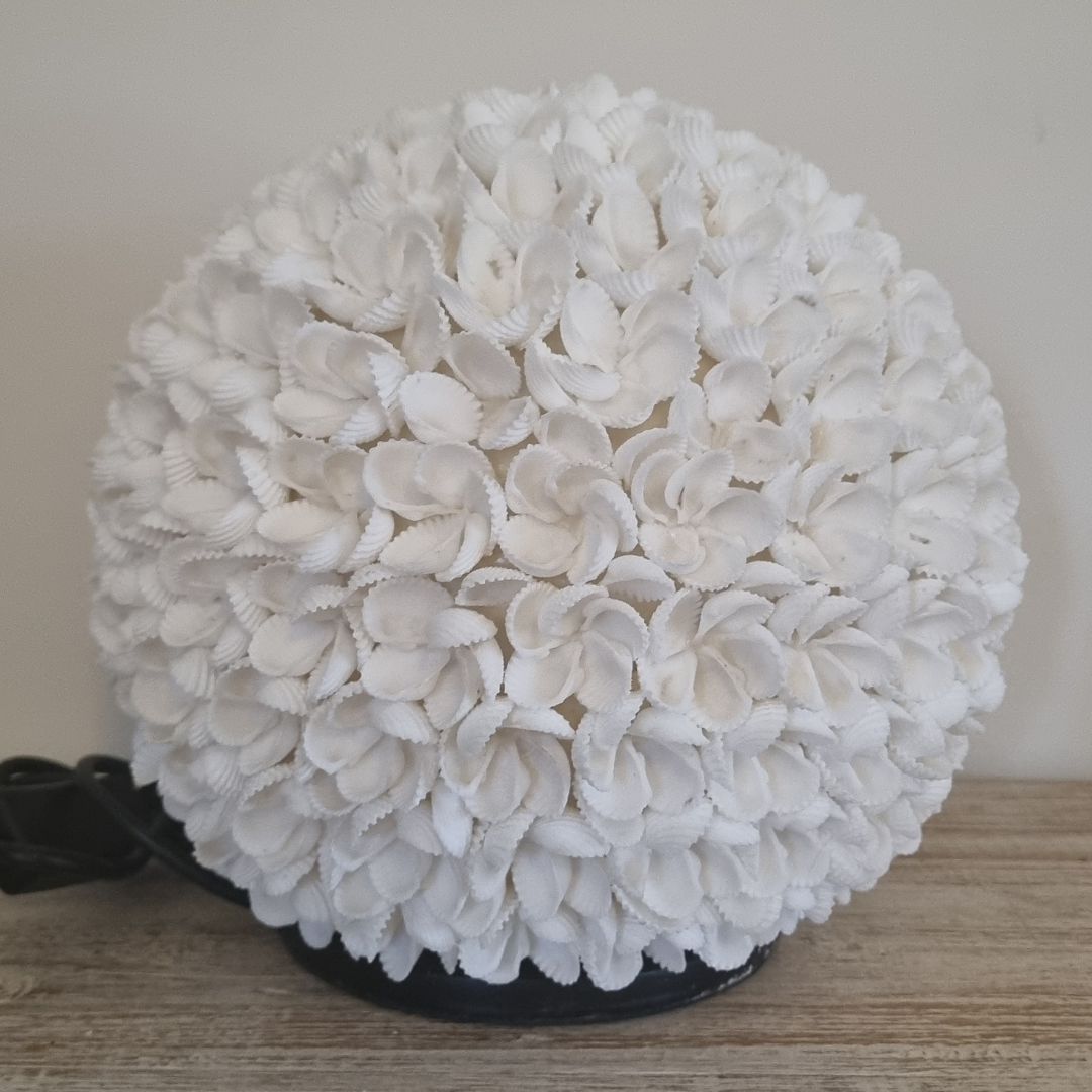 White shell table lamp glowing softly on a timber table.