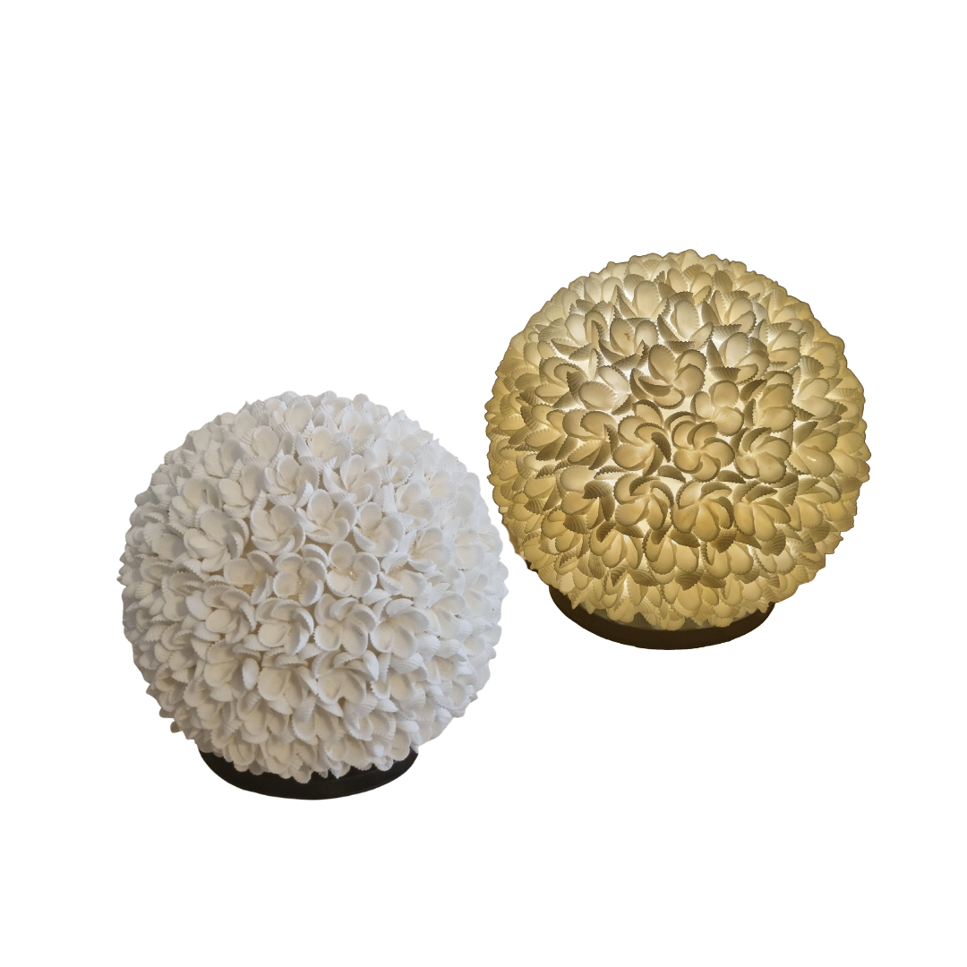 Lit rose shell table lamp glowing warmly on a timber table in a coastal interior.