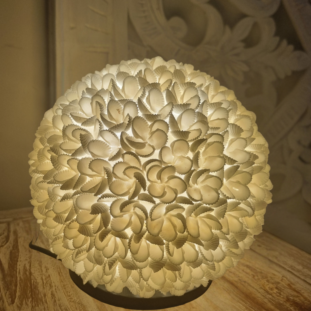 Shell lamp switched on a table top