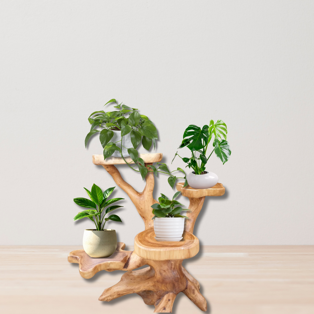Wooden plant stand with potted plants on a light background