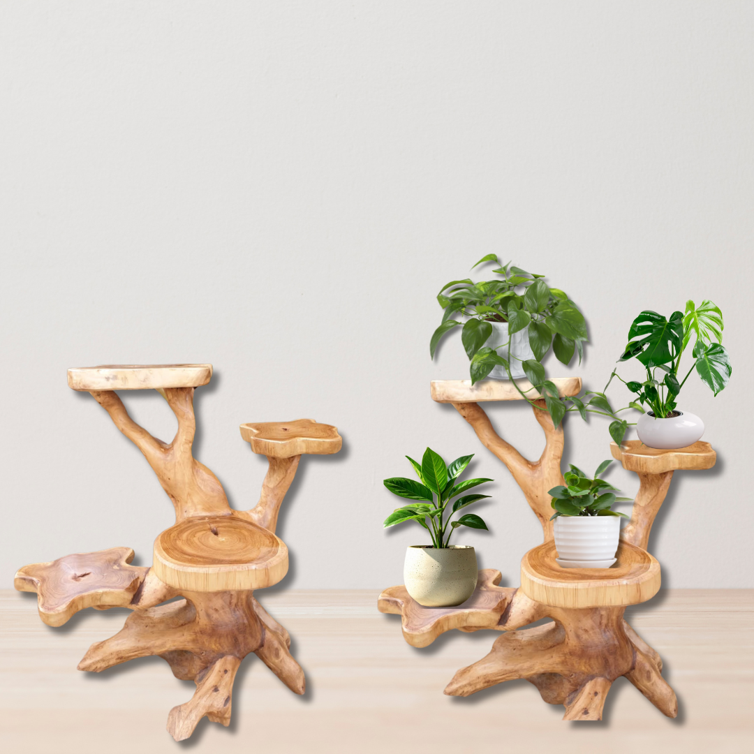 Wooden plant stand with multiple levels holding potted plants on a light background