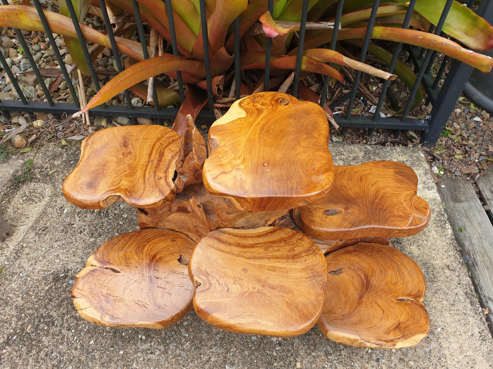 Wooden sculpture tree root wood  on a concrete surface with plants in the background