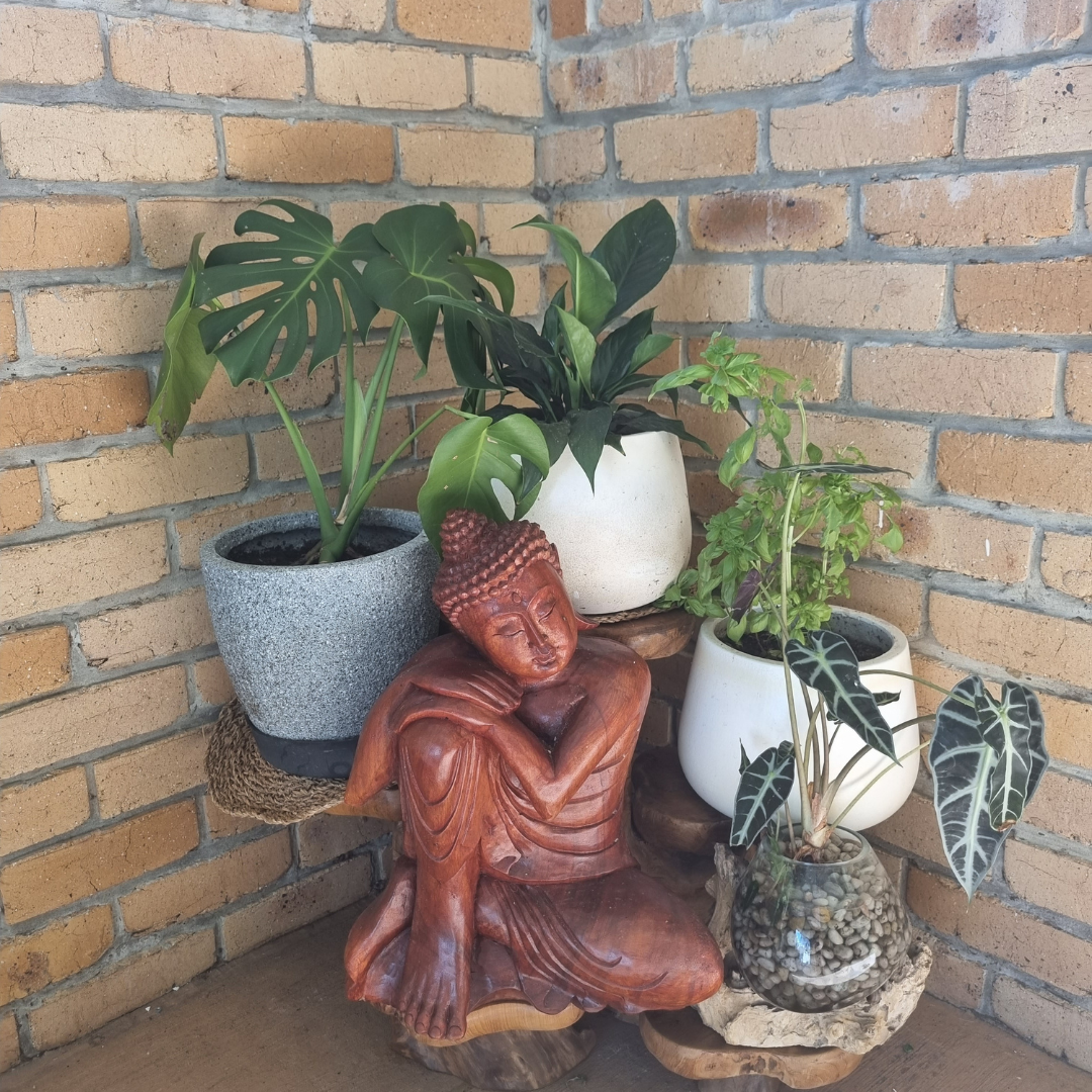 Teak Wood Plant Display Stand