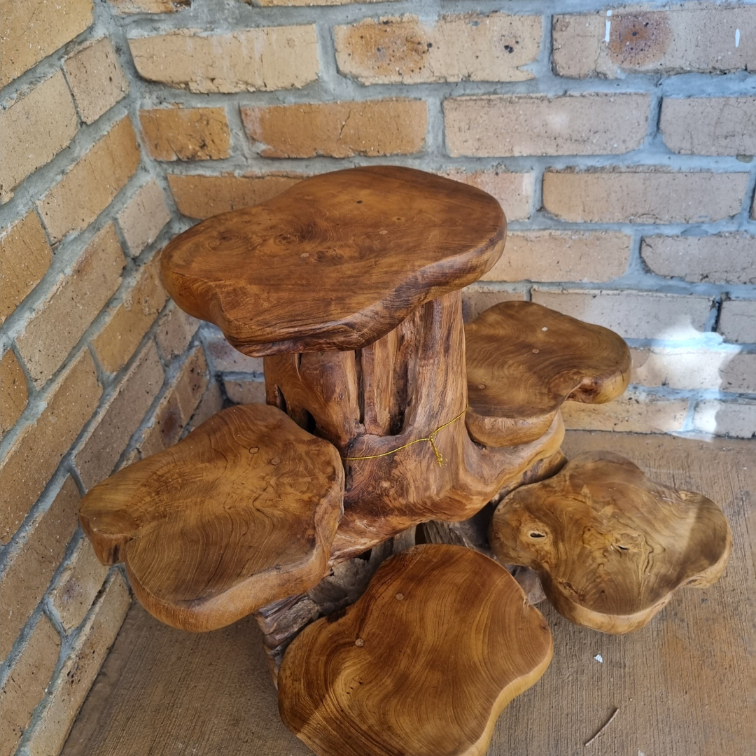 Teak Wood Plant Display Stand