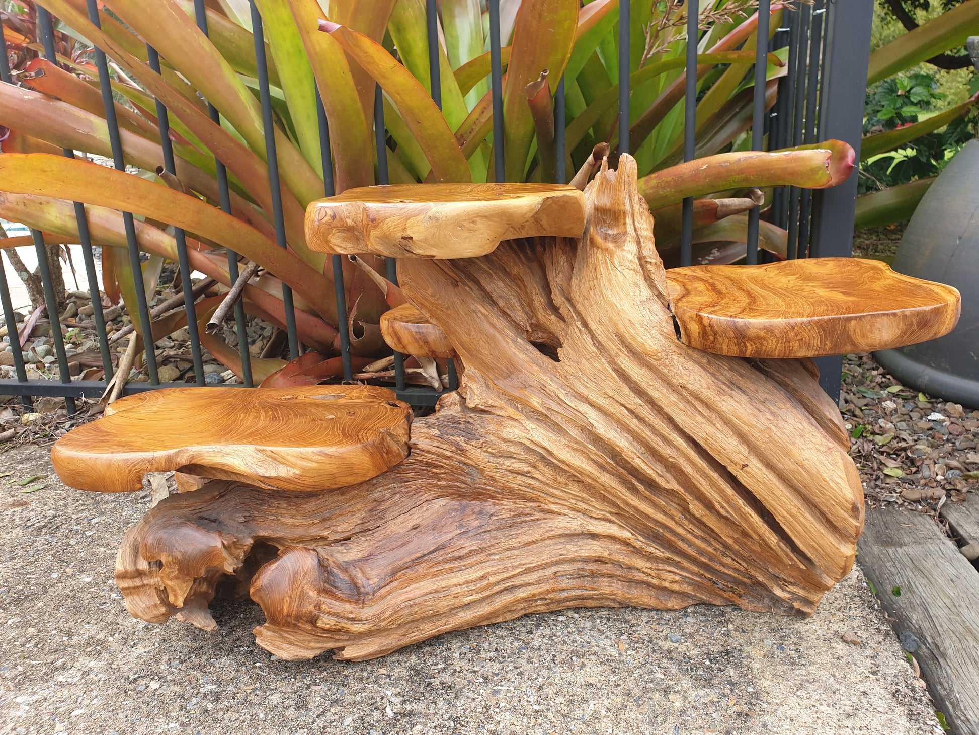 Back view table display rootwood with natural design made from tree roots or similar material, set outdoors.