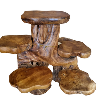 Handcrafted teak root wood plant display stand with six natural live-edge shelves at varying heights