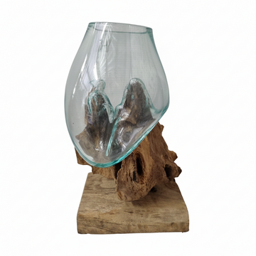 Terrarium glass on drift wood with aqua-tinted handblown vessel on natural driftwood root base, white background