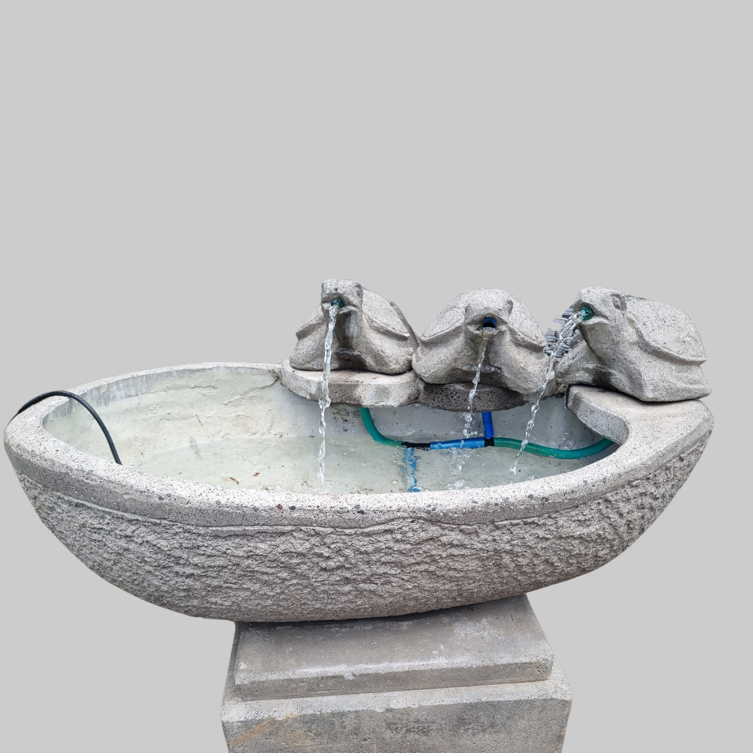  TURTLE water fountain with flowing water on a gray background