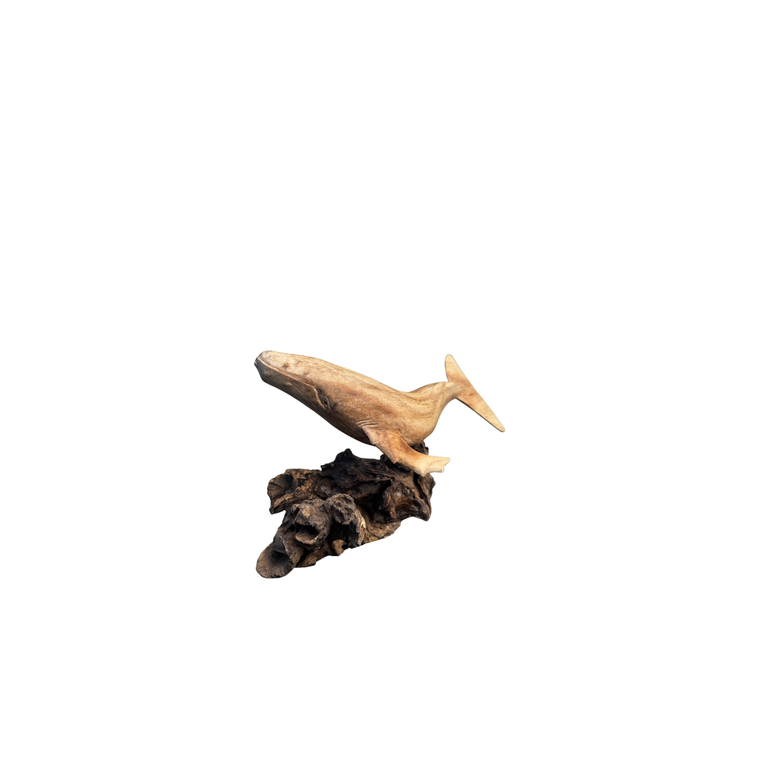 wooden carving on a driftwood base on a white back ground