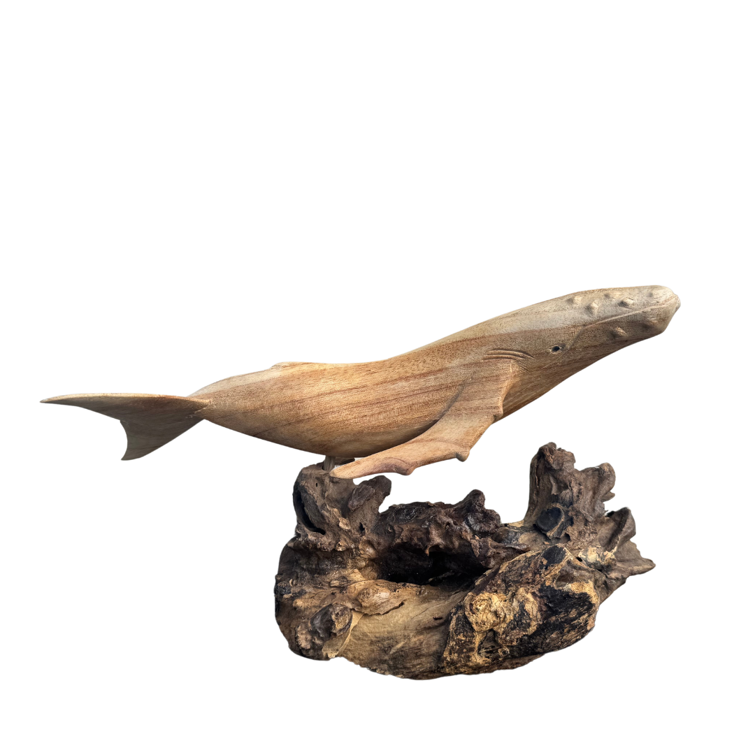 Front-angle view of a hand-carved wooden humpback whale sculpture mounted on a textured dark driftwood base, showing the carved belly ridges and pectoral fins