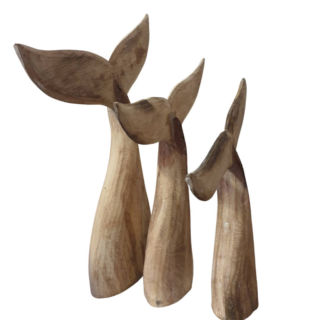 wooden set of 3 whale tails on white back ground photo is a side view 