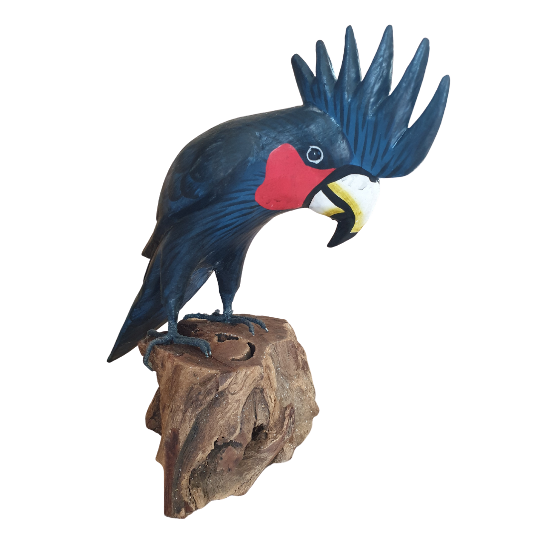 wooden cockatoo bird on a wooden base backdrop white 