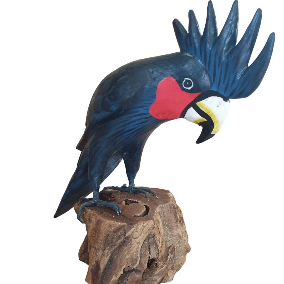 Black Cockatoo Wooden Statue 