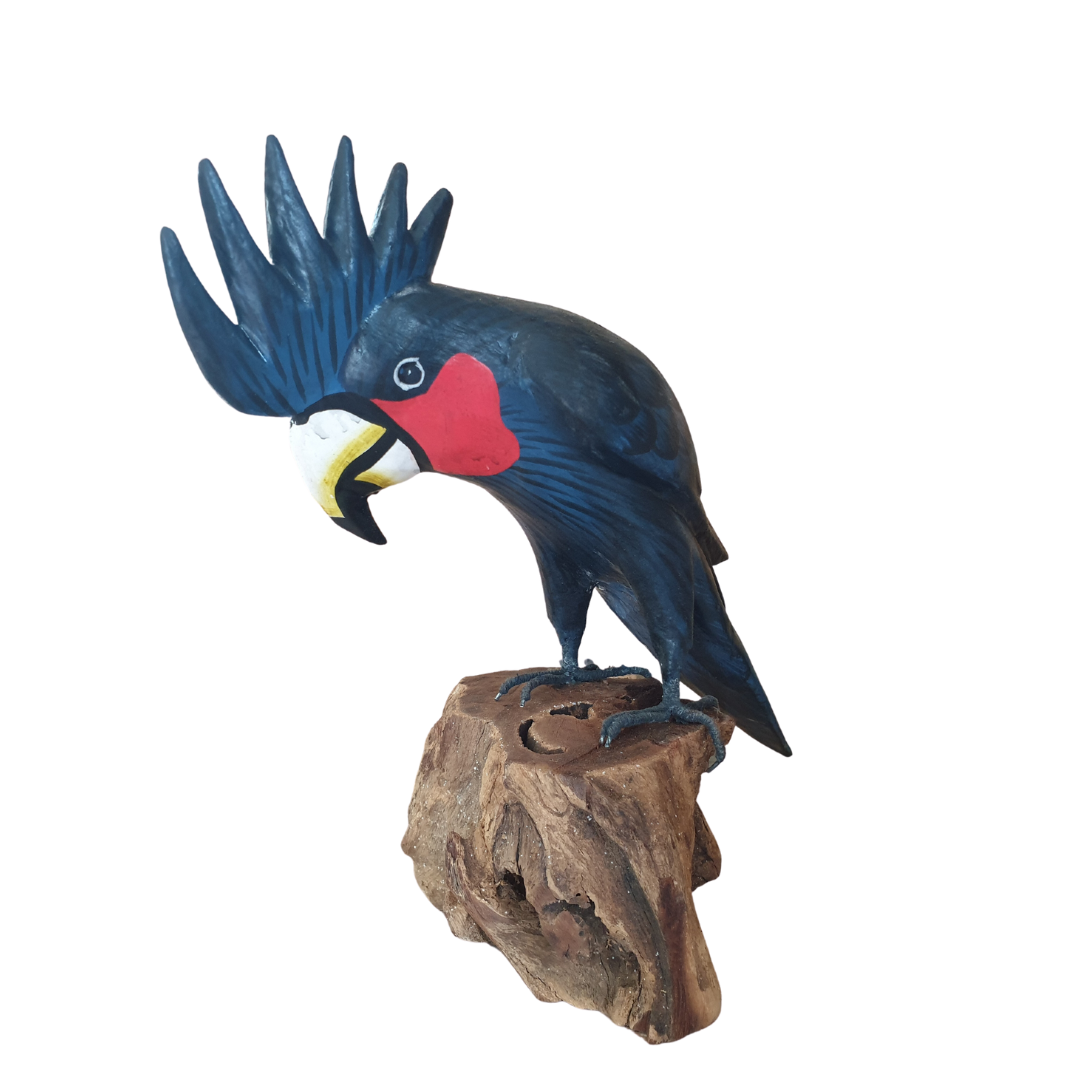 Black Cockatoo Wooden Statue 