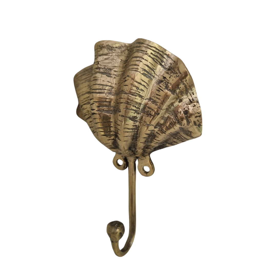 Brass clam shell wall hook side sangle showing curved hook and textured shell surface on white background"