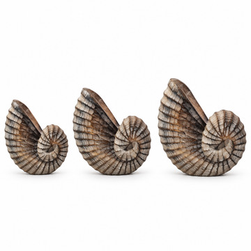 Three brown-wash spiral carvings in small, medium and large sizes on white