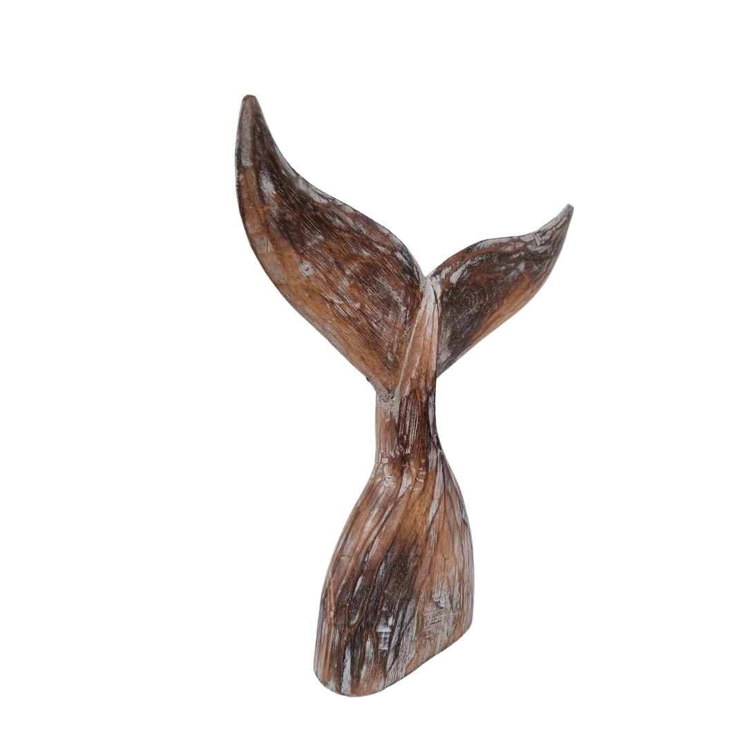 brown wash whale tail side view on a white back ground 