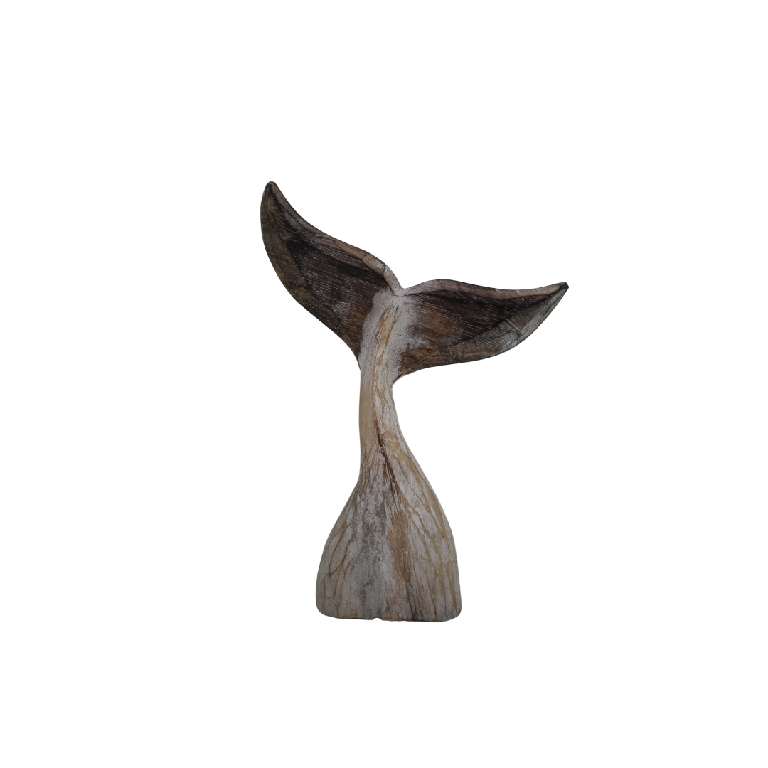 two tone whale tail deep bown tips with a light wash base on a white back wall 