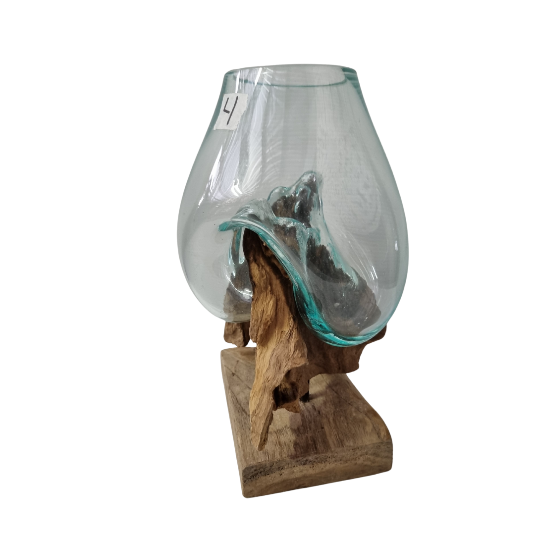 Terrariums Glass on Drift Wood