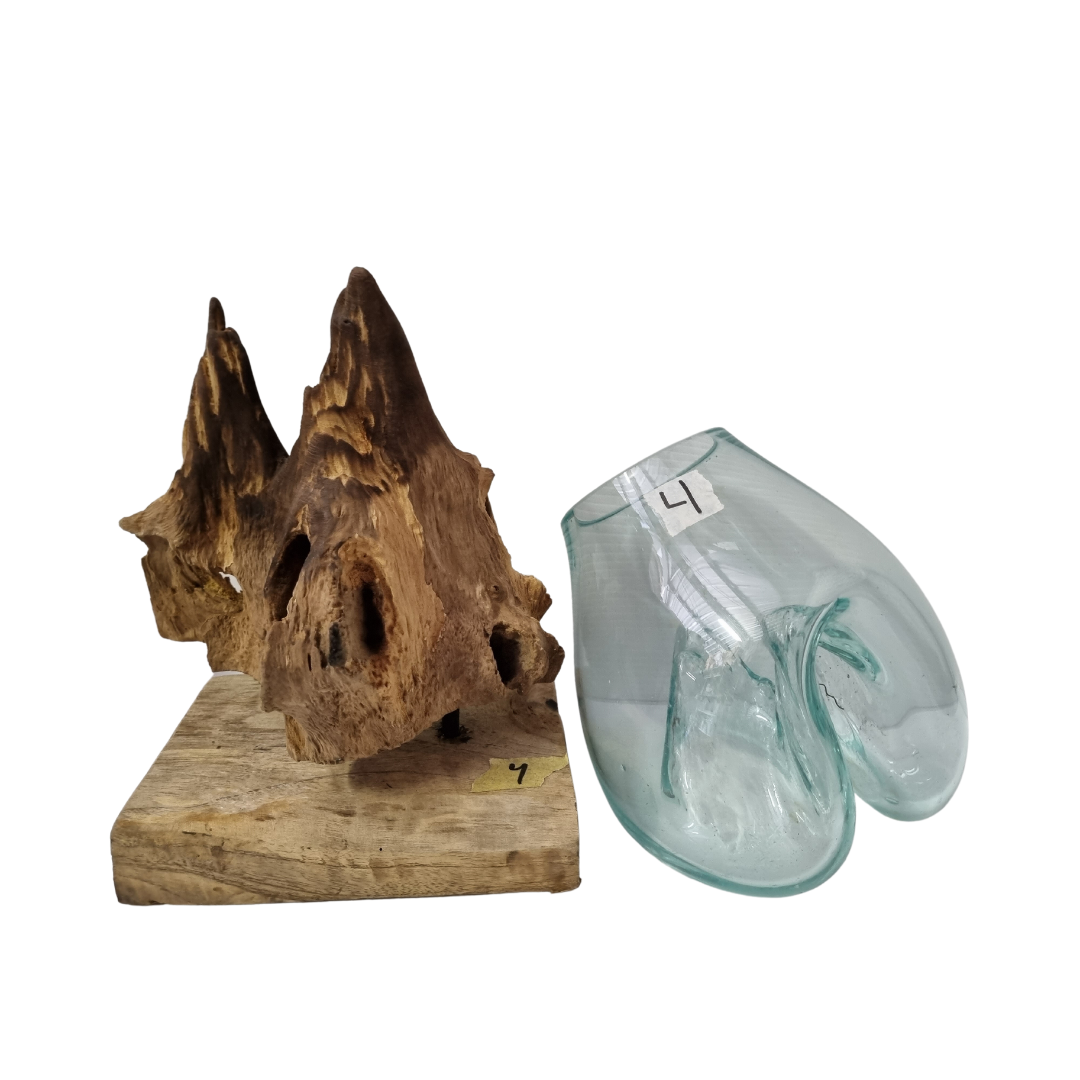 Terrariums Glass on Drift Wood