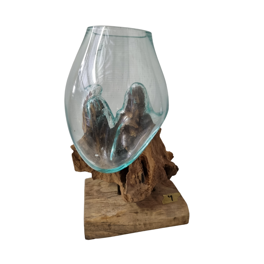 Terrariums Glass on Drift Wood