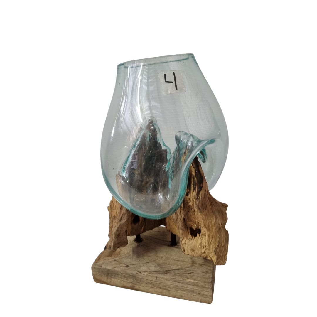 Terrariums Glass on Drift Wood