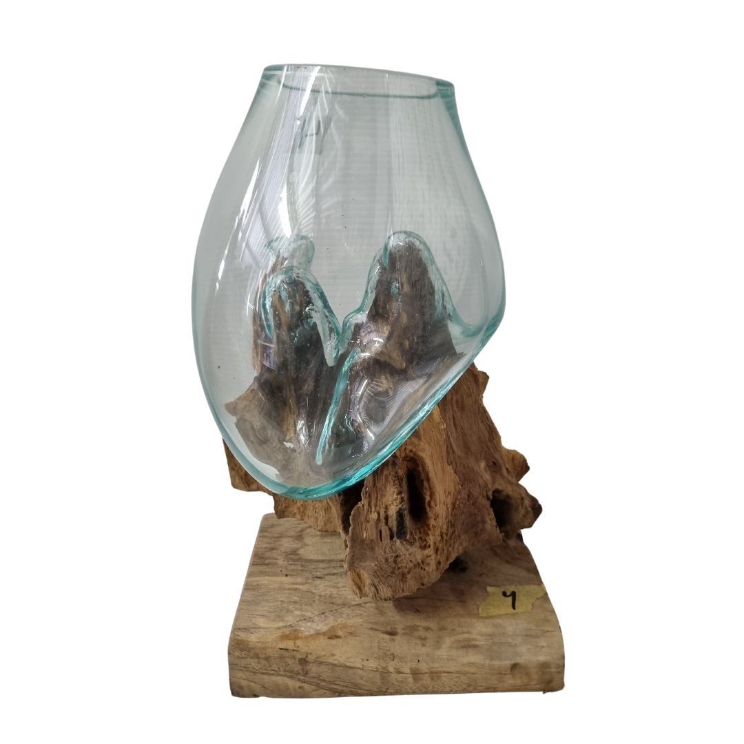 Terrariums Glass on Drift Wood