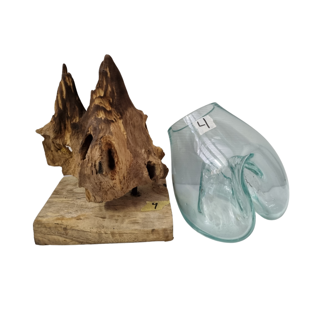 Terrariums Glass on Drift Wood